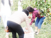 張家港港城推薦：綠色水果對健康的好處