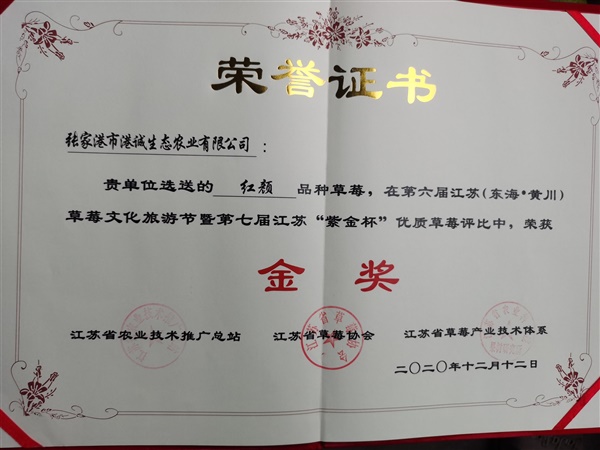 榮譽(yù)證書(shū)