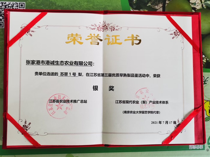 榮譽(yù)證書(shū)