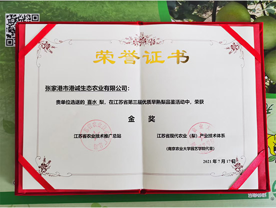 榮譽(yù)證書(shū)