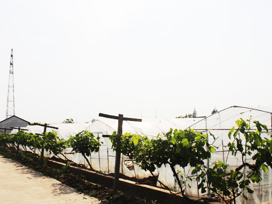 農(nóng)莊環(huán)境