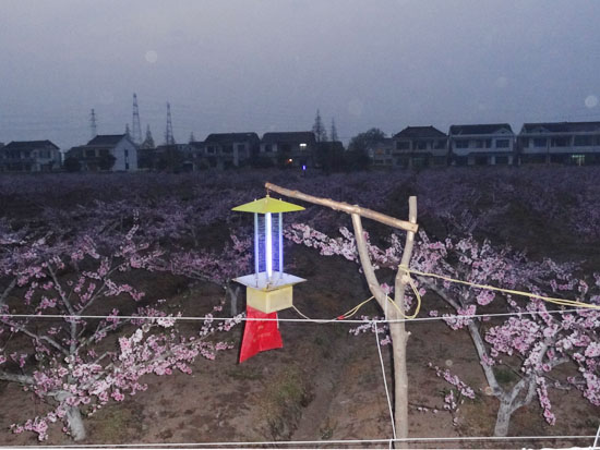 農(nóng)莊環(huán)境