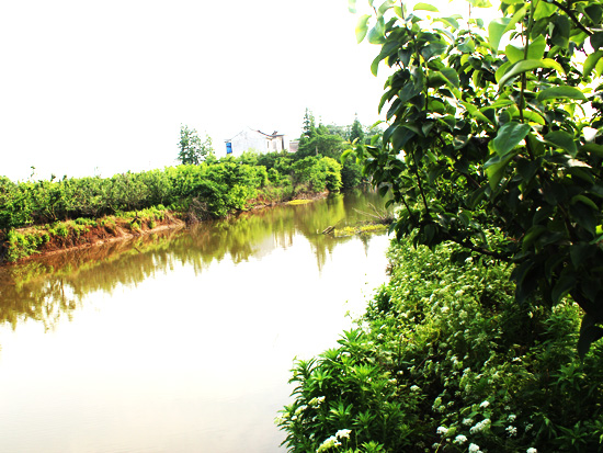 農(nóng)莊環(huán)境